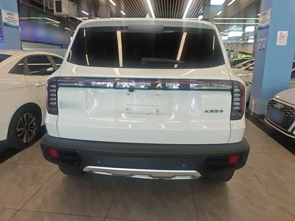 Haval Big Dog — фото 10
