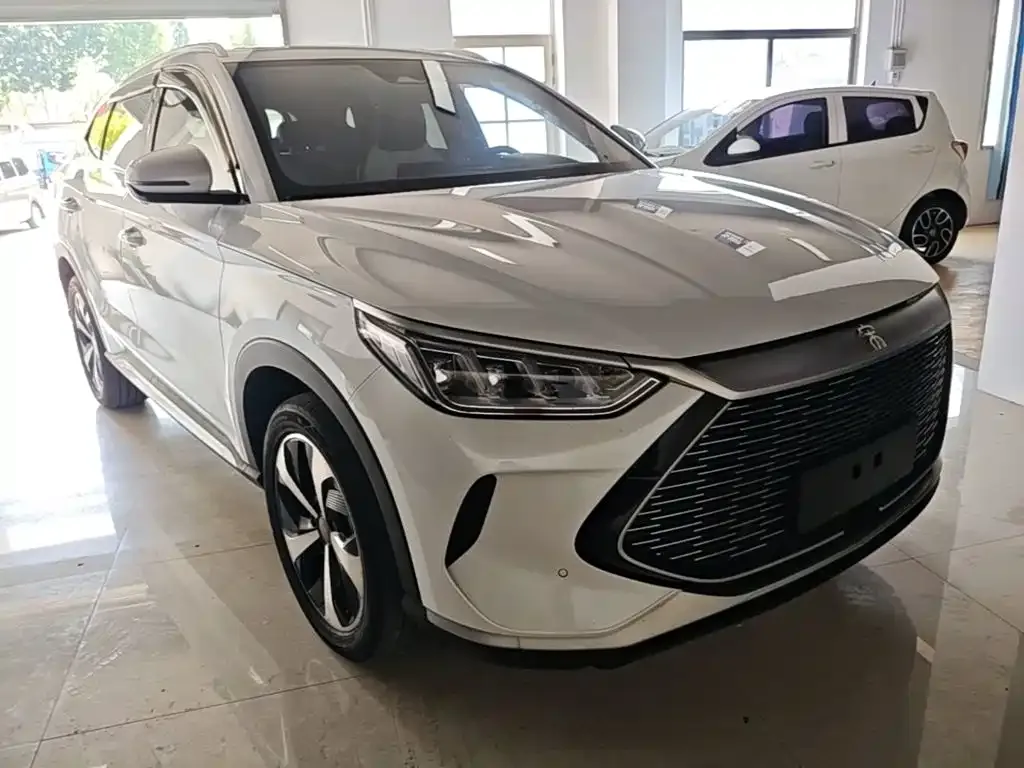 BYD PLUS New Energy — фото 6