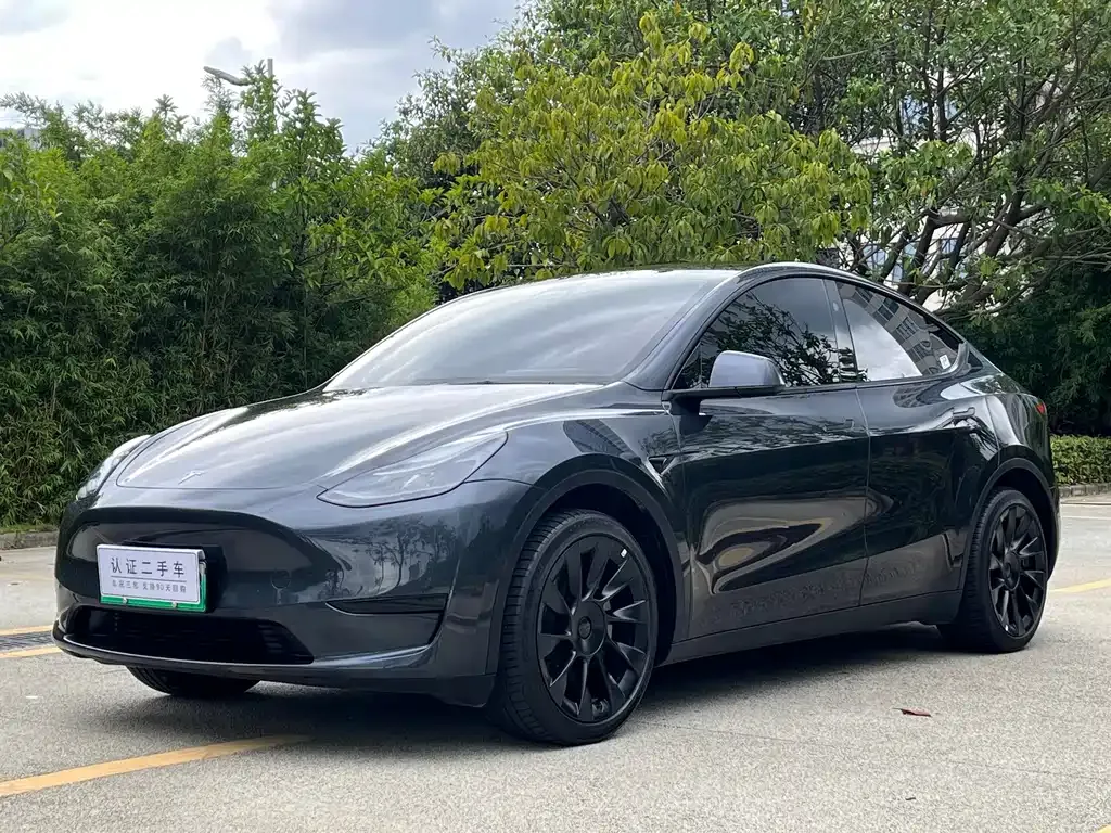 Tesla Model Y — фото 1