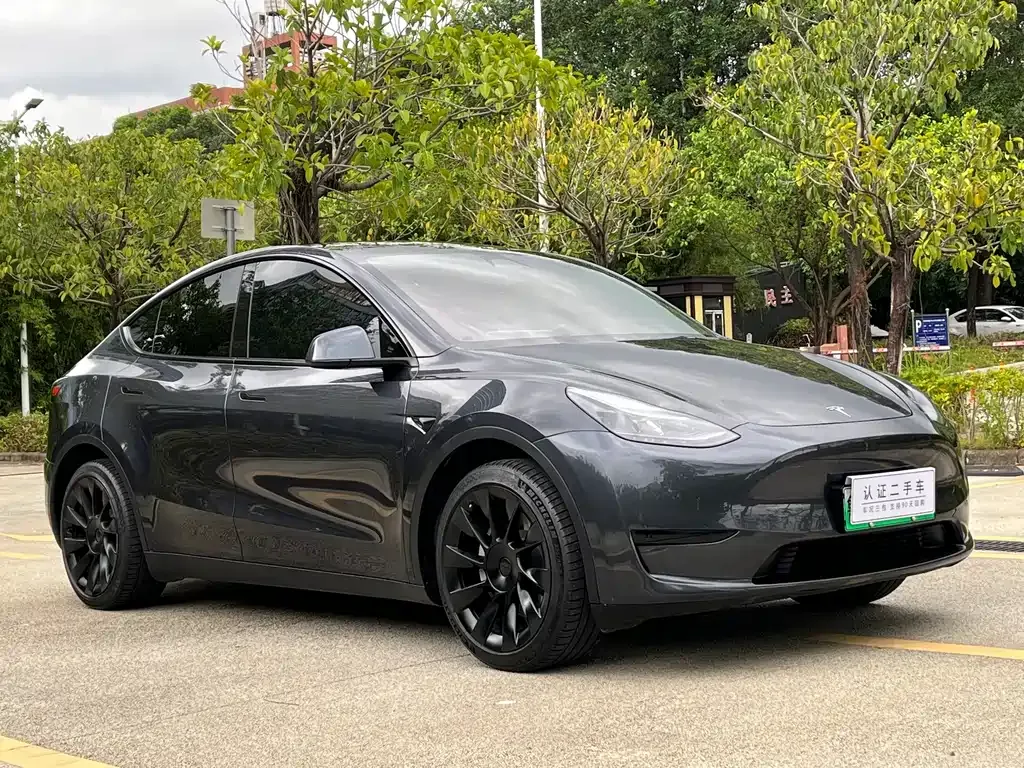Tesla Model Y — фото 10