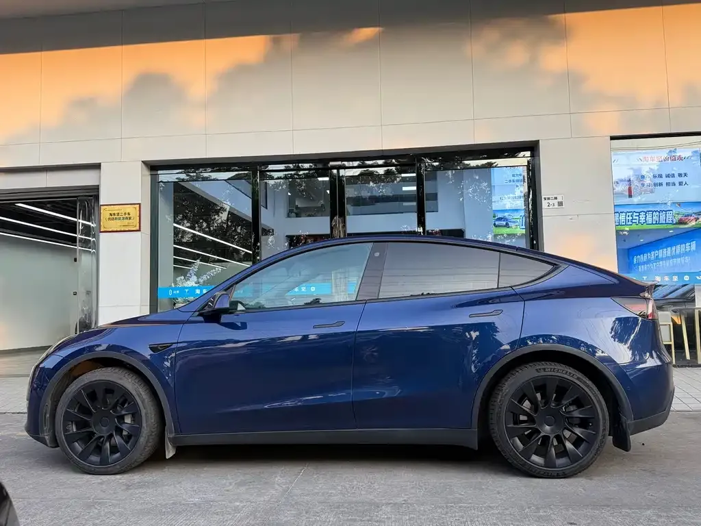Tesla Model Y — фото 10