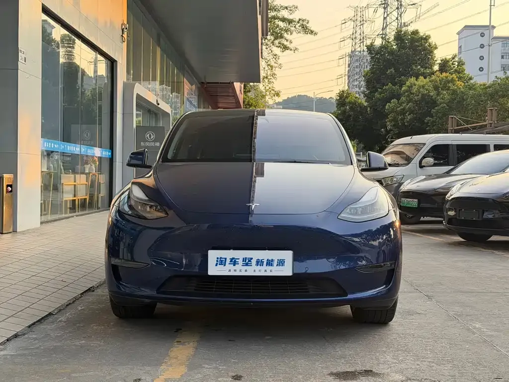 Tesla Model Y — фото 8