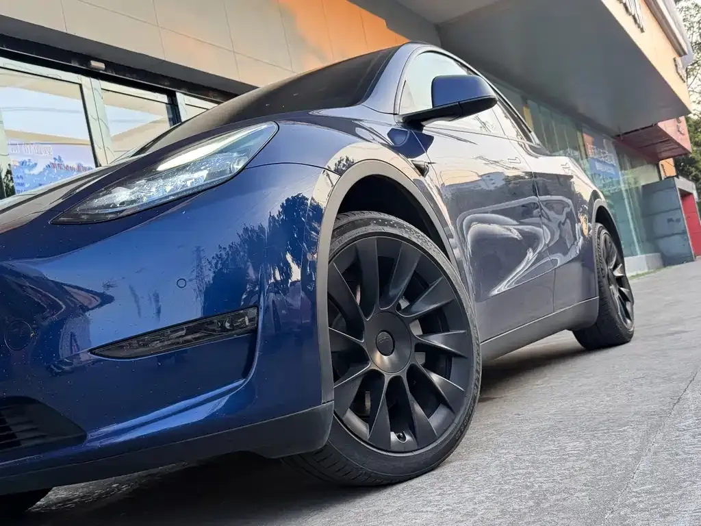 Tesla Model Y — фото 6