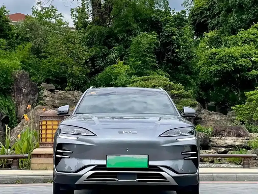 BYD PLUS New Energy — фото 1