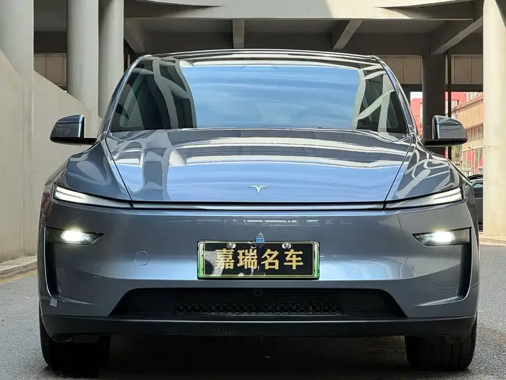 Tesla Model Y — фото 6