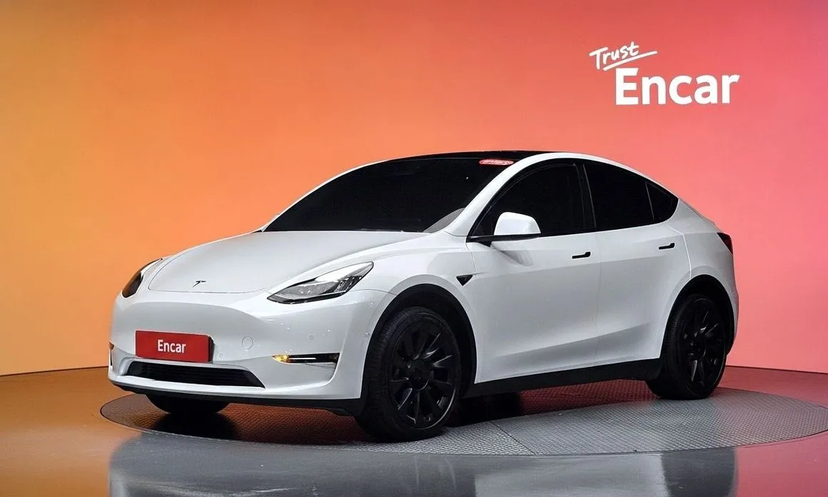 Tesla Model Y — фото 1
