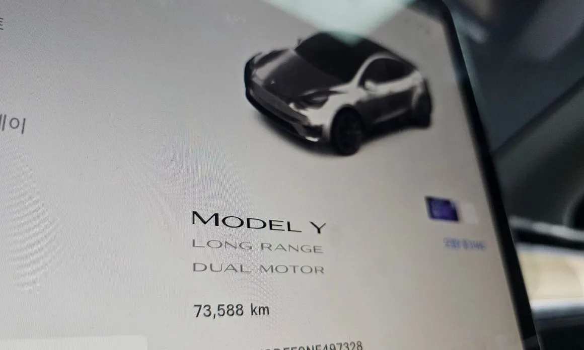 Tesla Model Y — фото 2