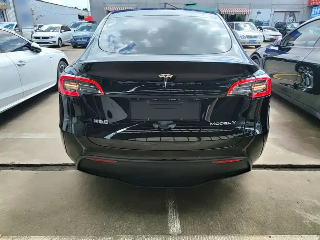 Tesla Model Y — фото 2