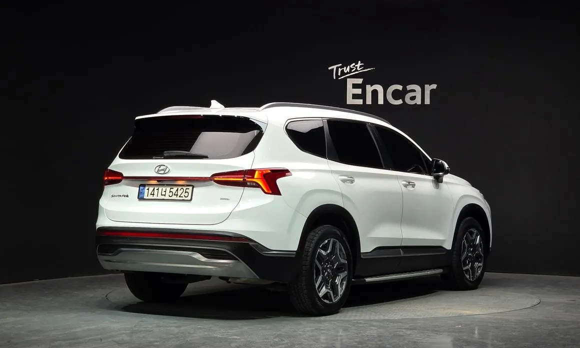 Hyundai Santafe — фото 6