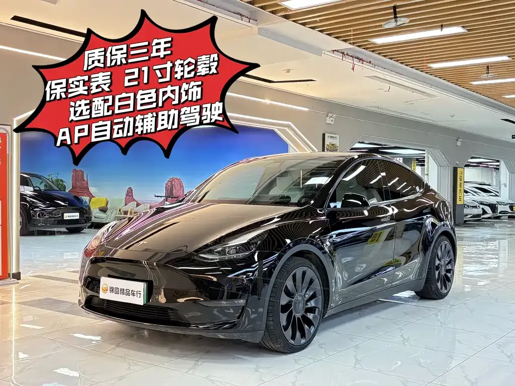 Tesla Model Y — фото 1