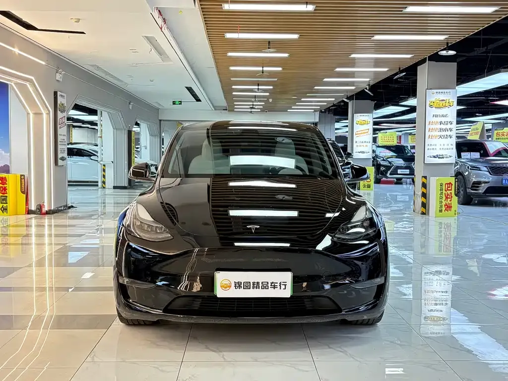 Tesla Model Y — фото 5