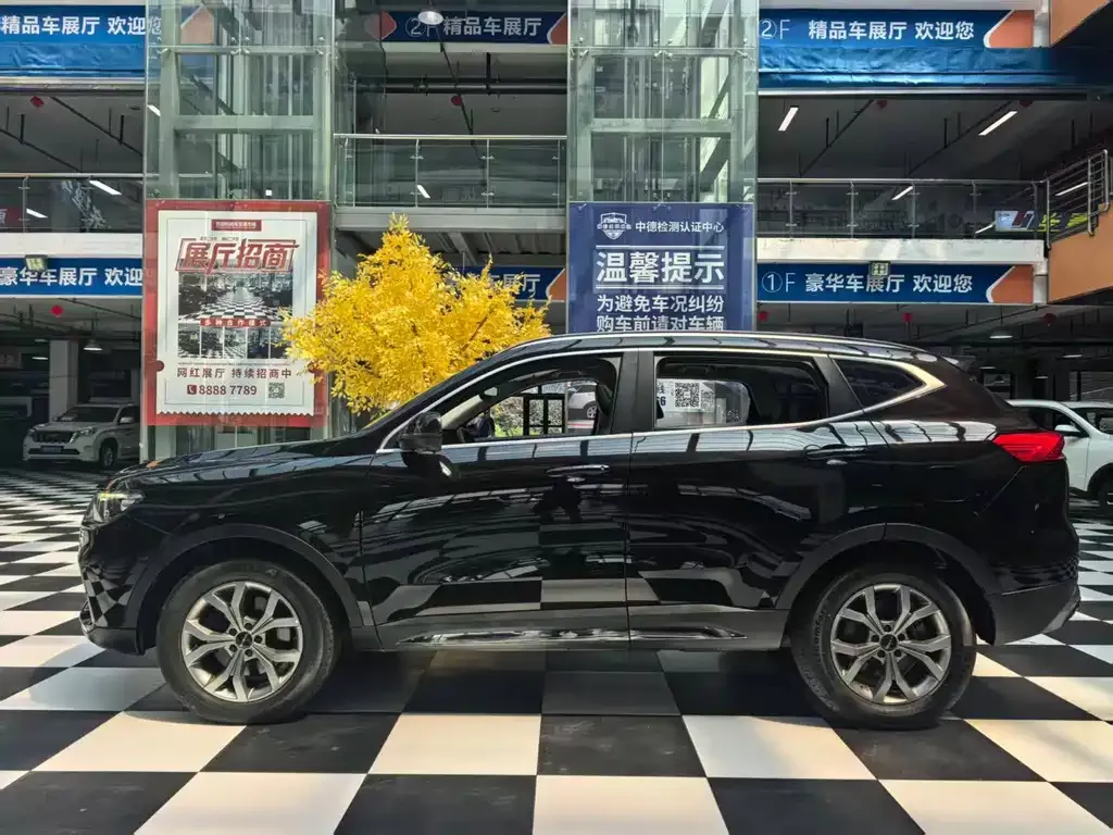 Haval H6 — фото 4