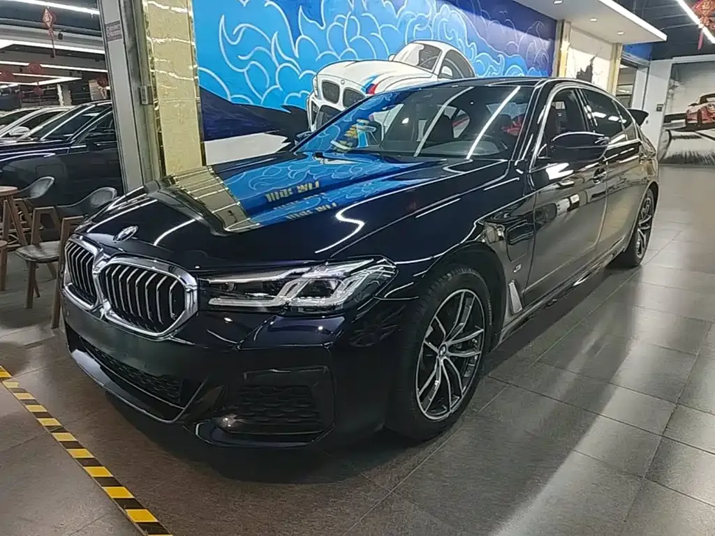 BMW 5 Series New Energy — фото 10