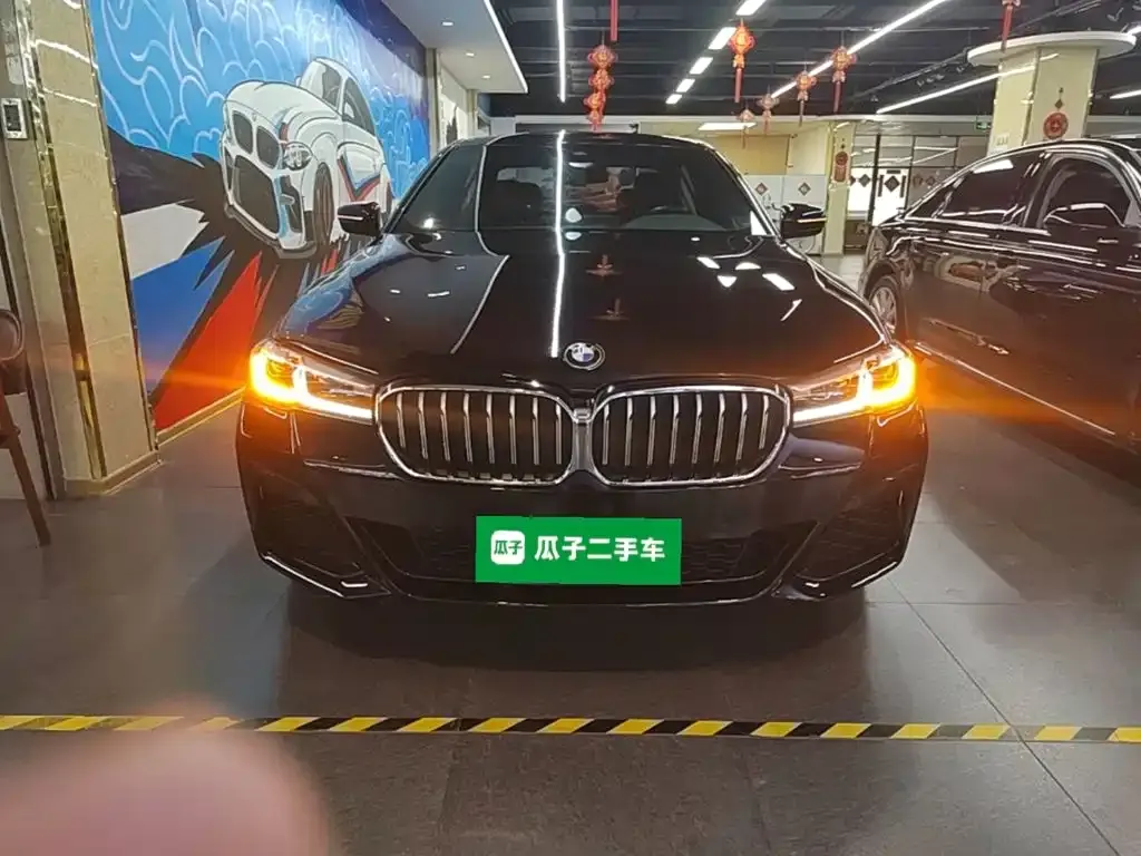 BMW 5 Series New Energy — фото 5