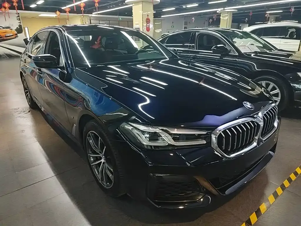 BMW 5 Series New Energy — фото 4