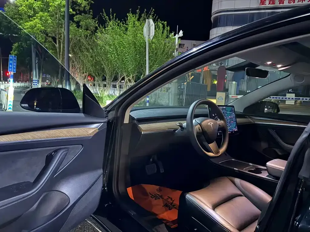 Tesla Model 3 — фото 2