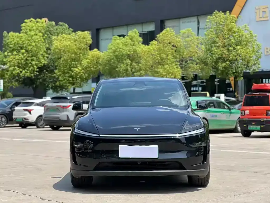 Tesla Model Y — фото 8