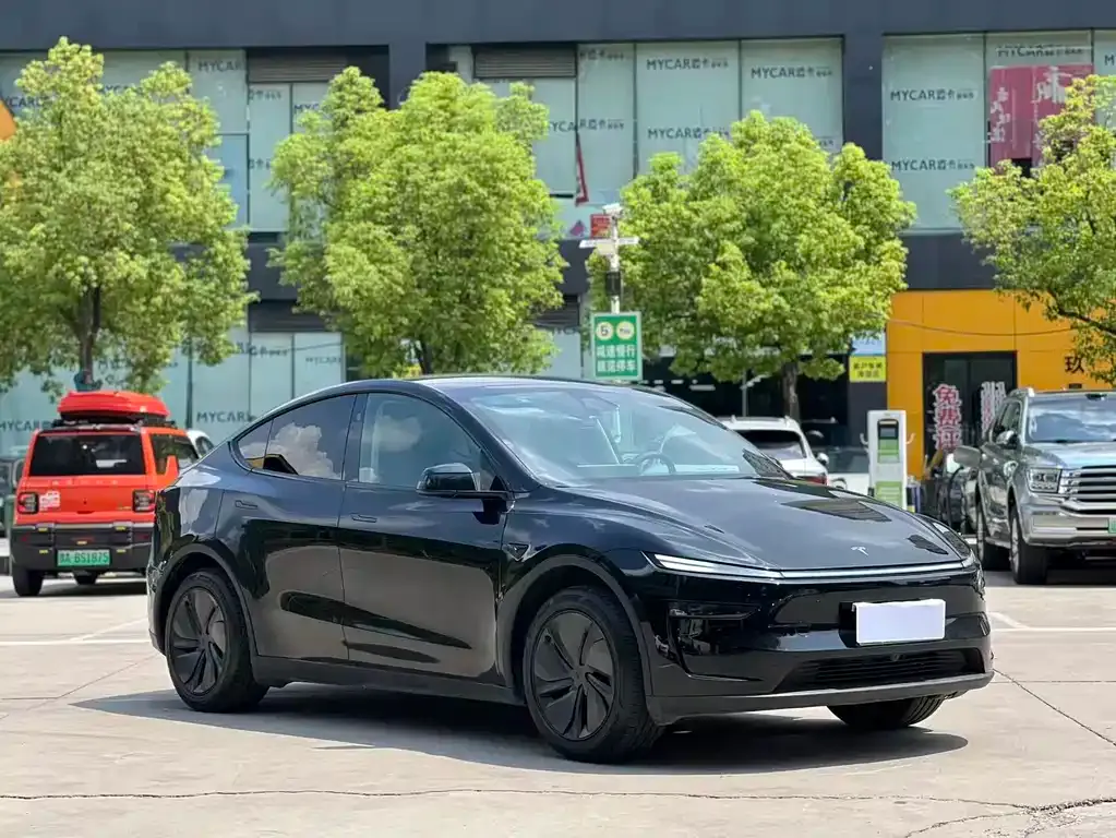 Tesla Model Y — фото 6