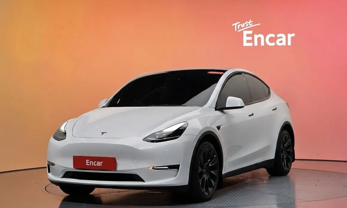 Tesla Model Y — фото 1