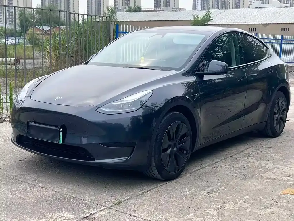Tesla Model Y — фото 1
