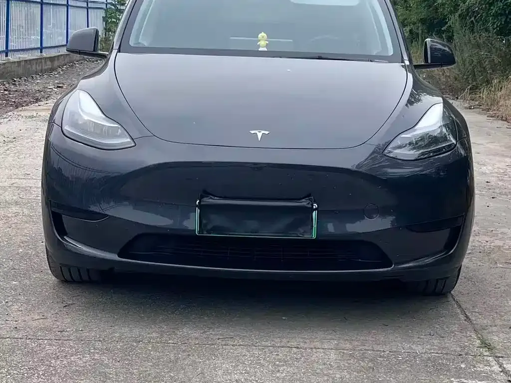 Tesla Model Y — фото 10