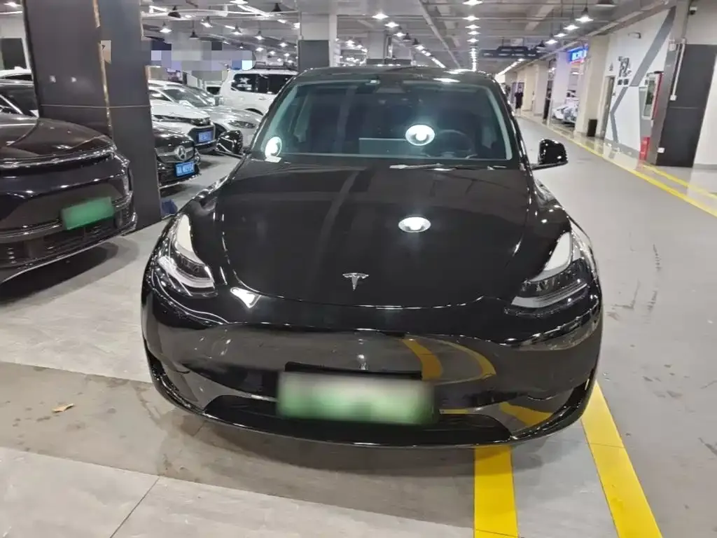 Tesla Model Y — фото 2