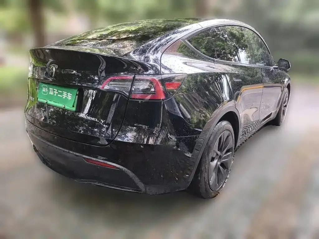 Tesla Model Y — фото 10