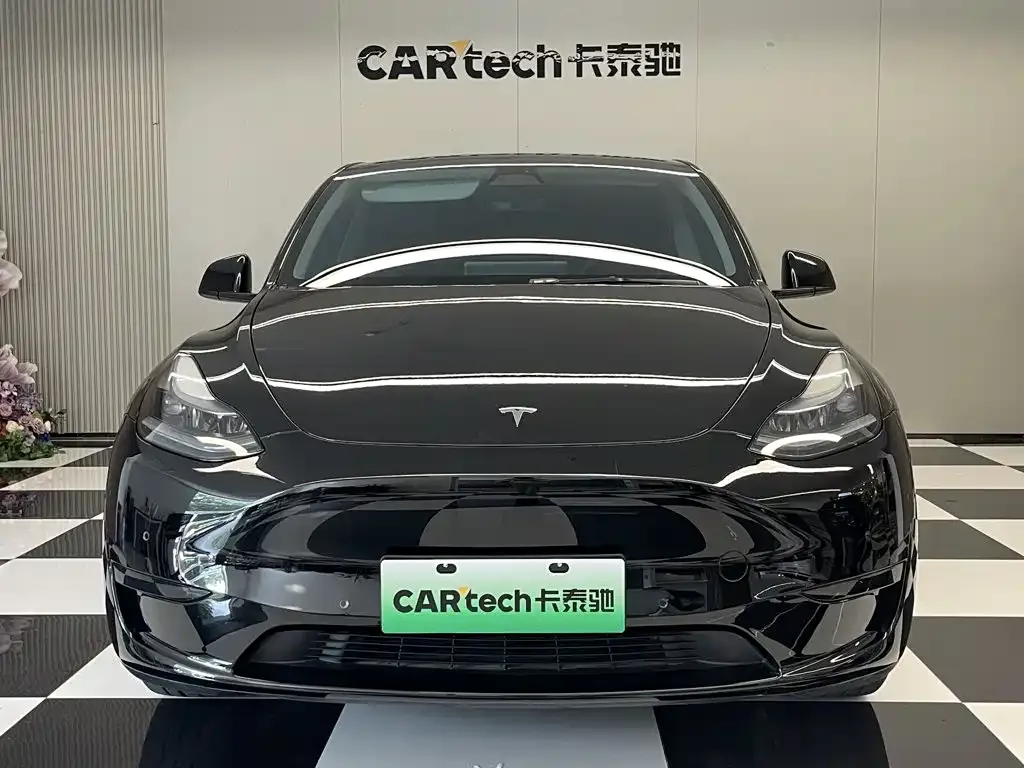 Tesla Model Y — фото 2