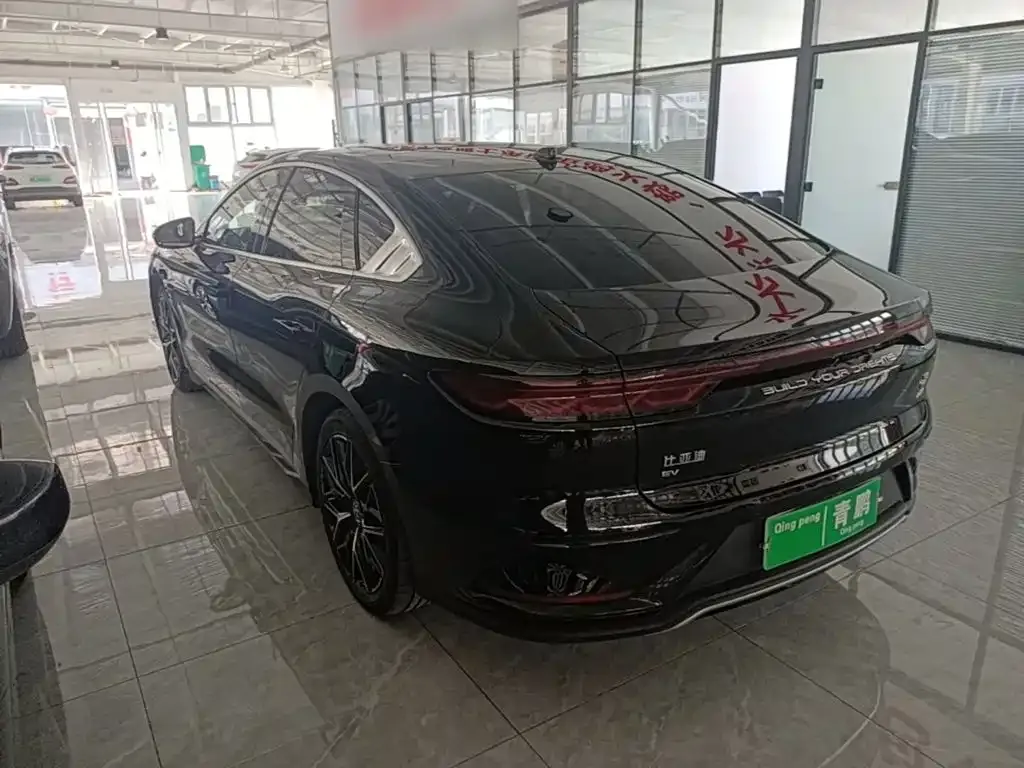 BYD Han — фото 6