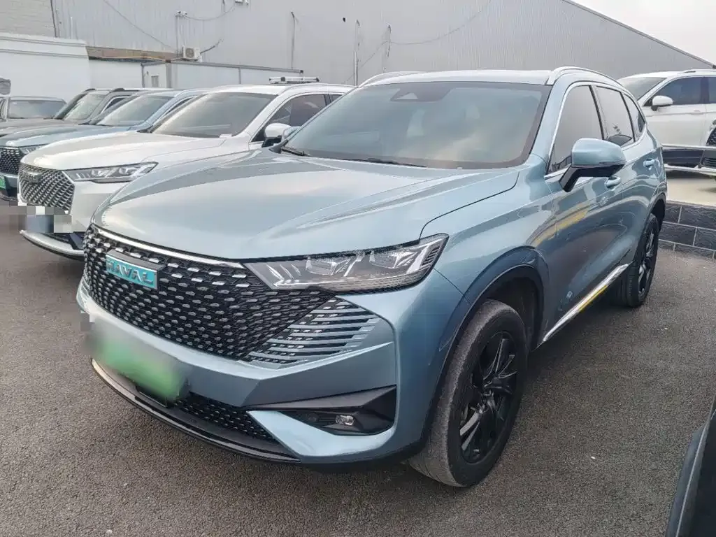 Haval H6 New Energy — фото 6