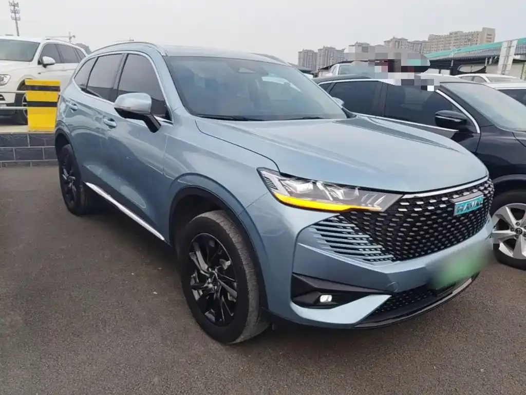Haval H6 New Energy — фото 10