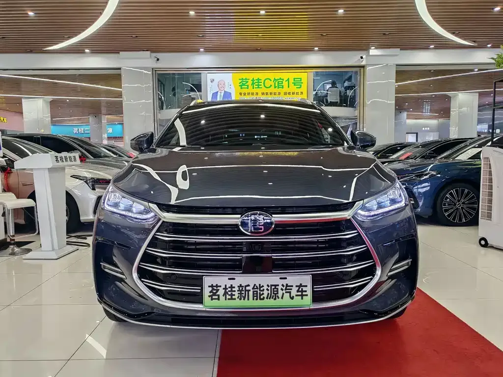 BYD Tang New Energy — фото 8