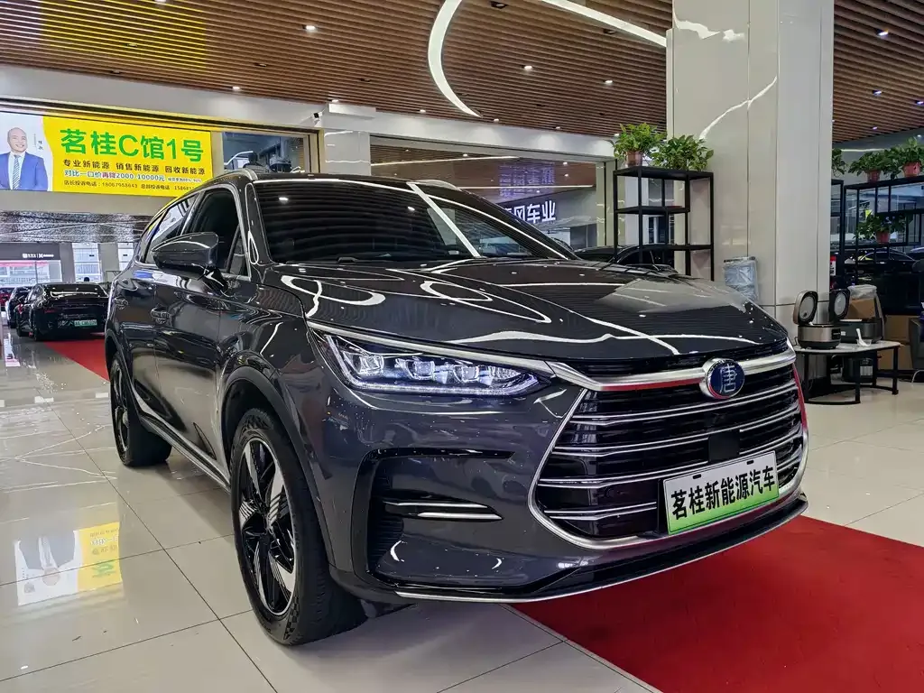 BYD Tang New Energy — фото 7