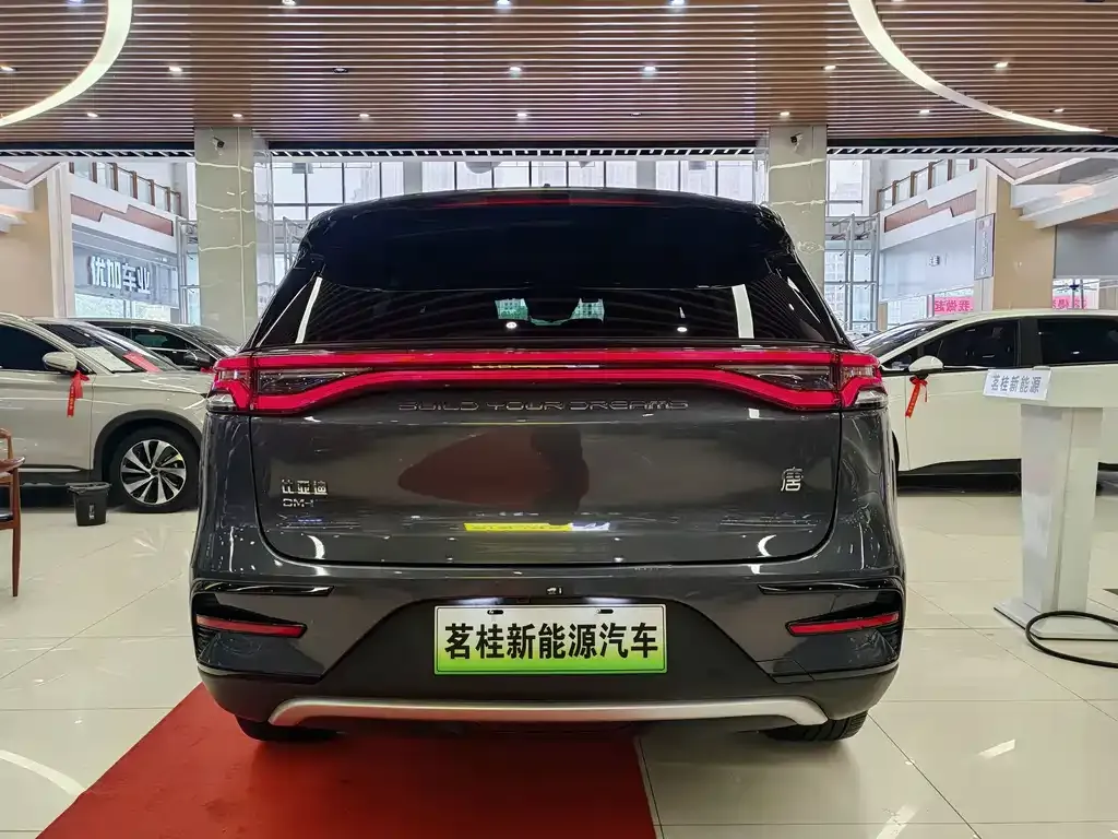 BYD Tang New Energy — фото 3