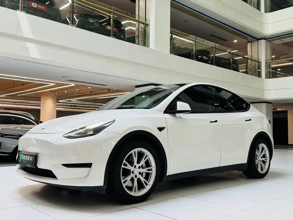 Tesla Model Y — фото 2