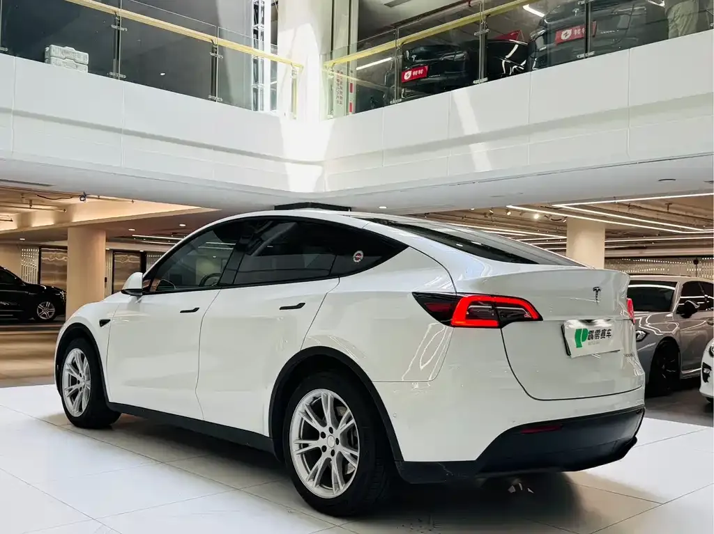 Tesla Model Y — фото 3