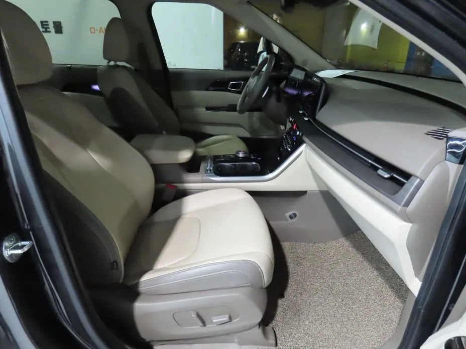 Kia Carnival — фото 10