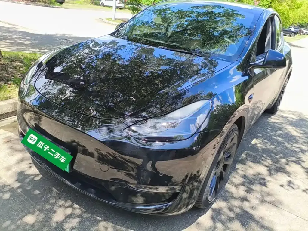 Tesla Model Y — фото 9