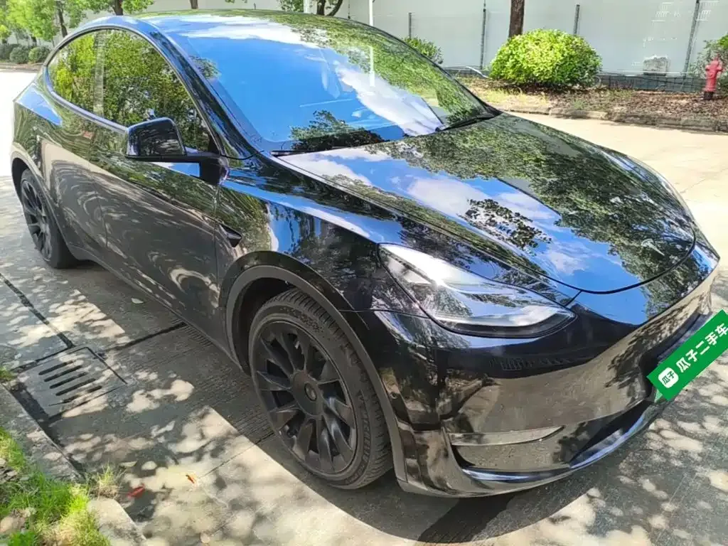 Tesla Model Y — фото 8