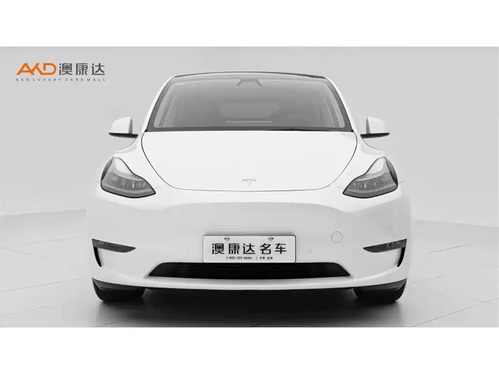 Tesla Model Y — фото 5