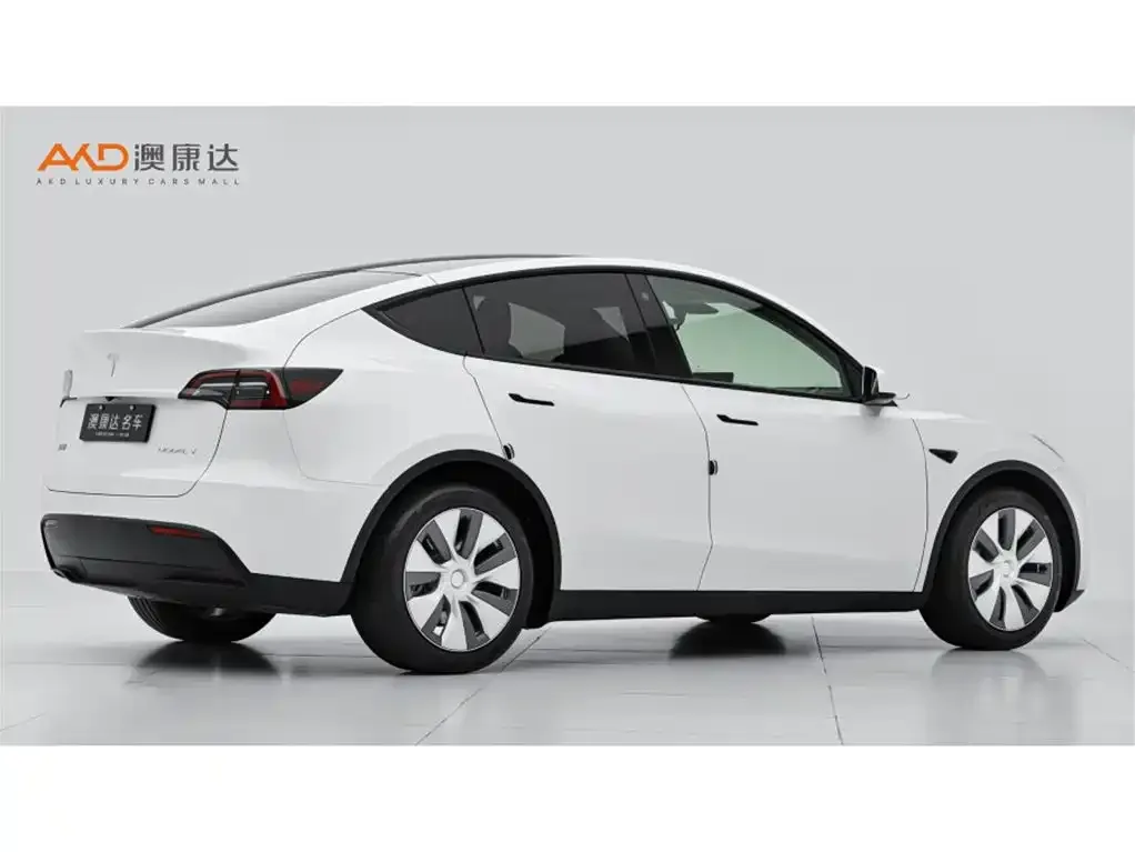Tesla Model Y — фото 2