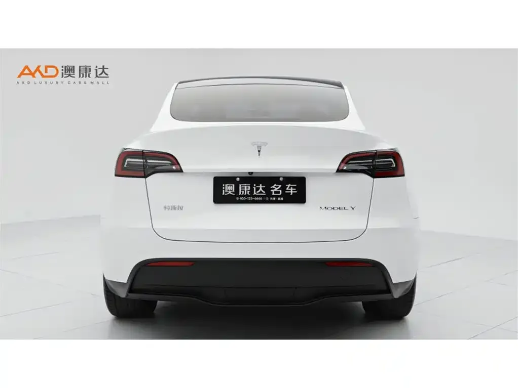 Tesla Model Y — фото 9