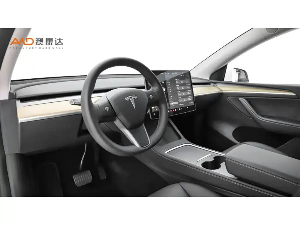 Tesla Model Y — фото 10