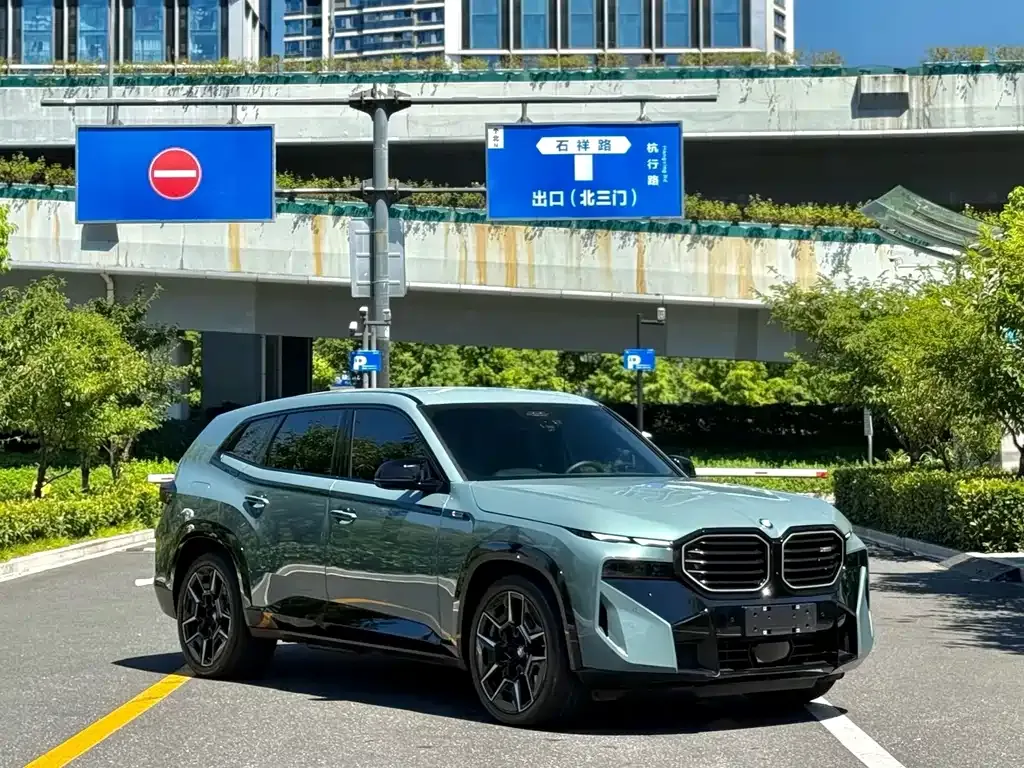 BMW XM — фото 6