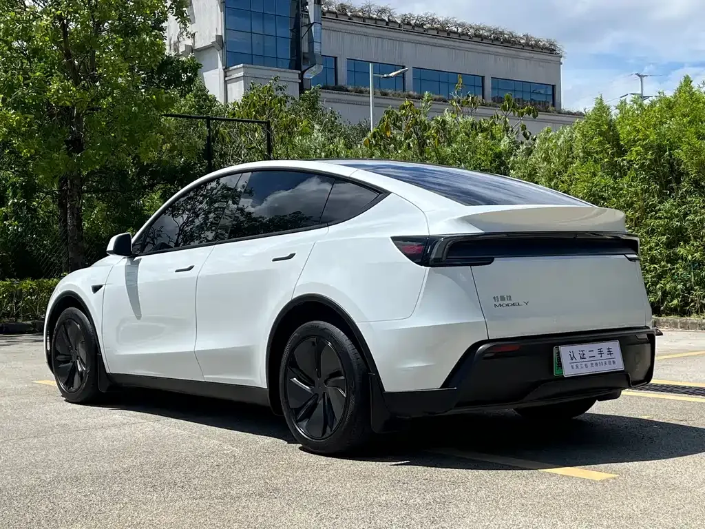 Tesla Model Y — фото 10