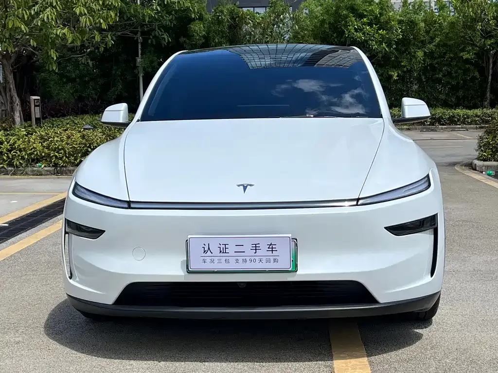 Tesla Model Y — фото 9