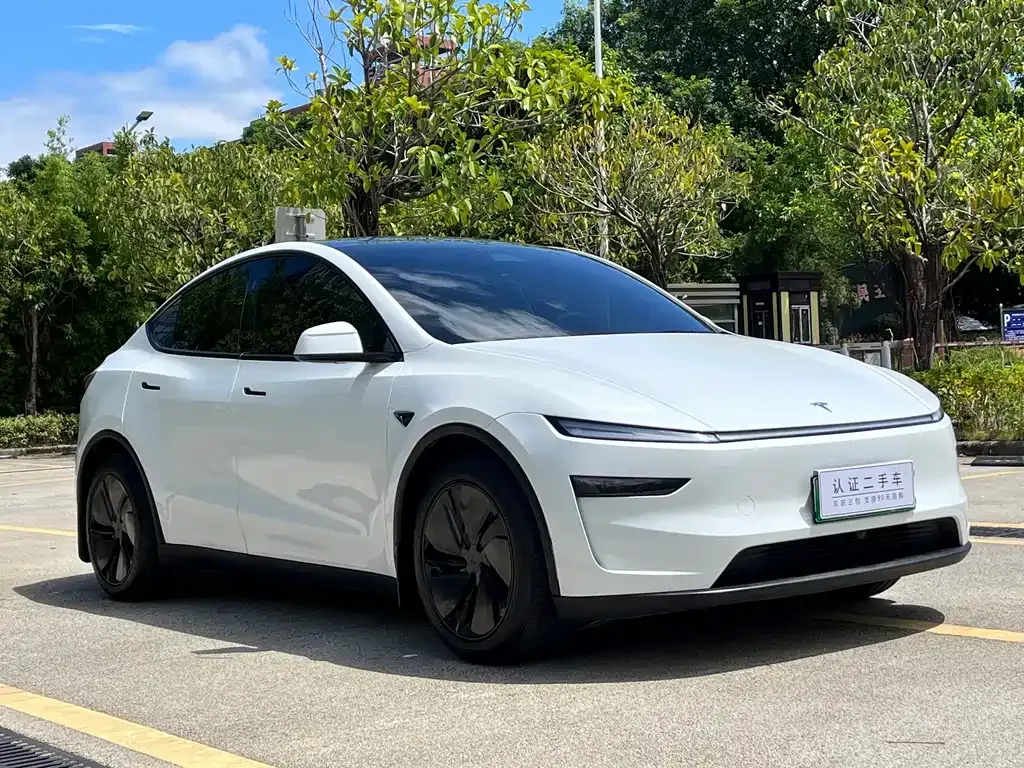 Tesla Model Y — фото 8