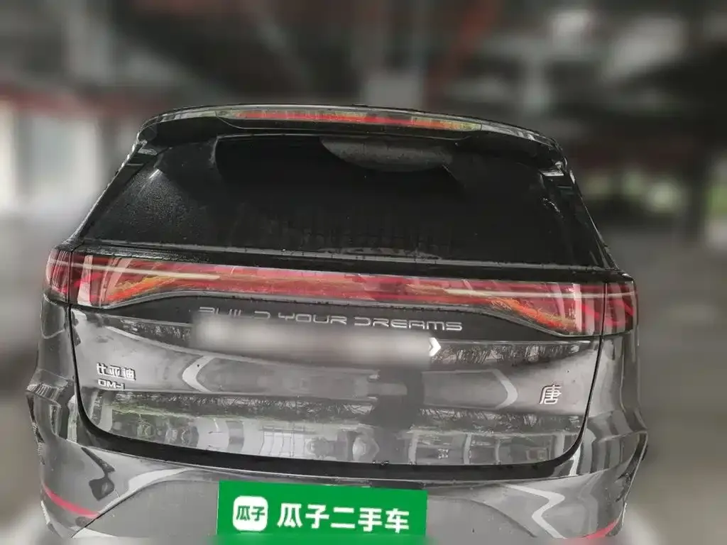 BYD Tang New Energy — фото 10