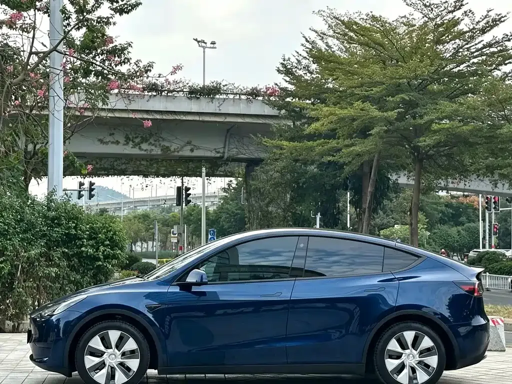 Tesla Model Y — фото 8