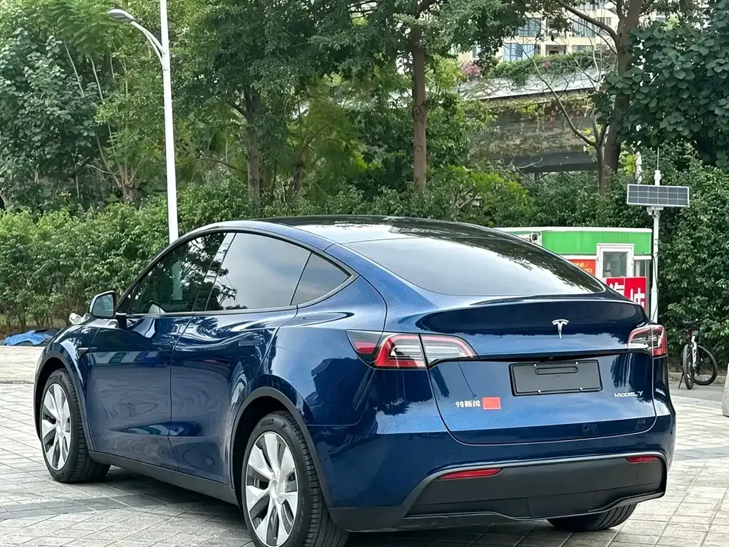 Tesla Model Y — фото 6